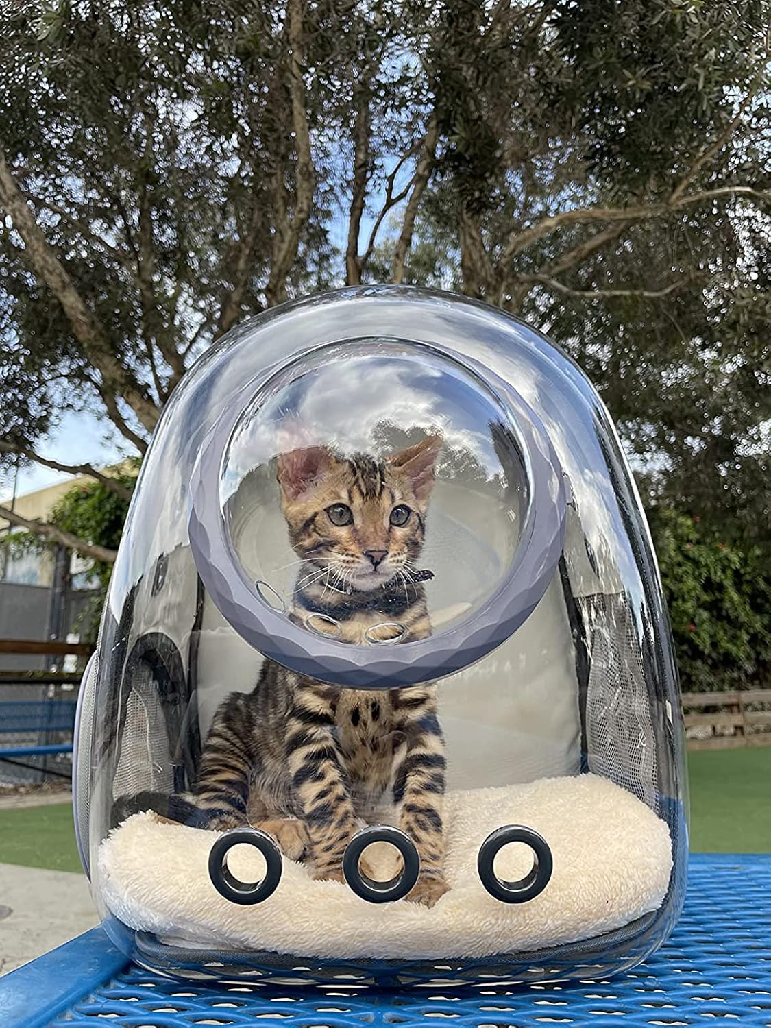Cat Bubble Backpack Carrier, Space Capsule Astronaut Clear Pet Backpack Carrier for Cat and Small Puppy (Green)